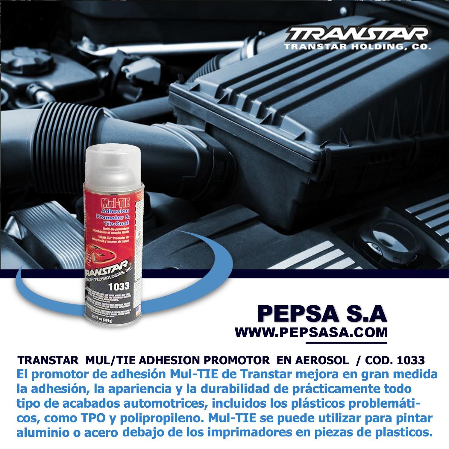 pepsa.sa_1709150785_3312919365644343935_53080822701